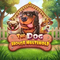 The Dog House Multihold game at Bet365 Casino for Australian players